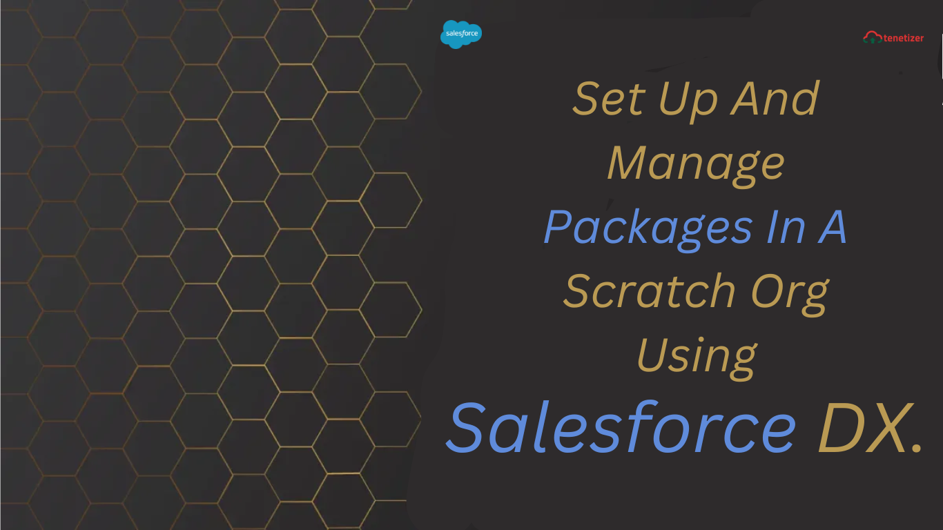 Set Up And Manage Packages In A Scratch Org Using Salesforce DX ...